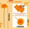 12PCS Artificial Chrysanthemum Flowers – Orange Faux Ball Mum Flowers, Silk Pom Pom Floral Stems for Fall Wedding Bouquets, Farmhouse Home, Kitchen, Table Centerpieces & Autumn Decorations